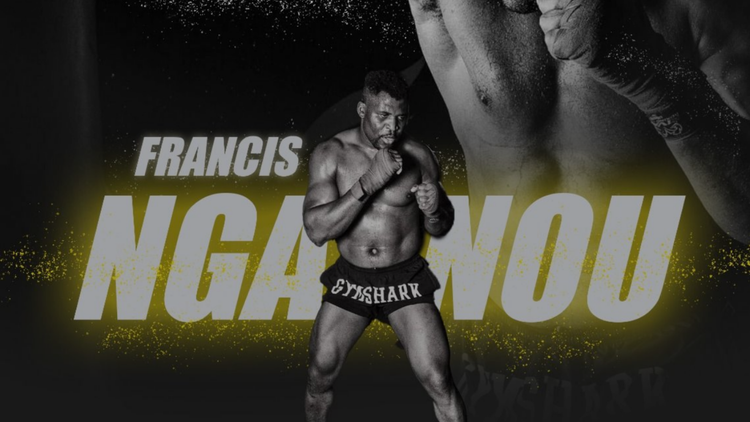 Posters Francis Ngannou