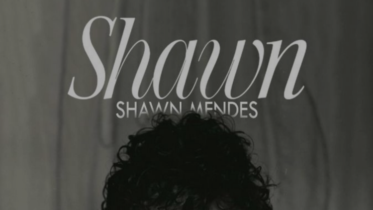 Posters Shawn Mendes