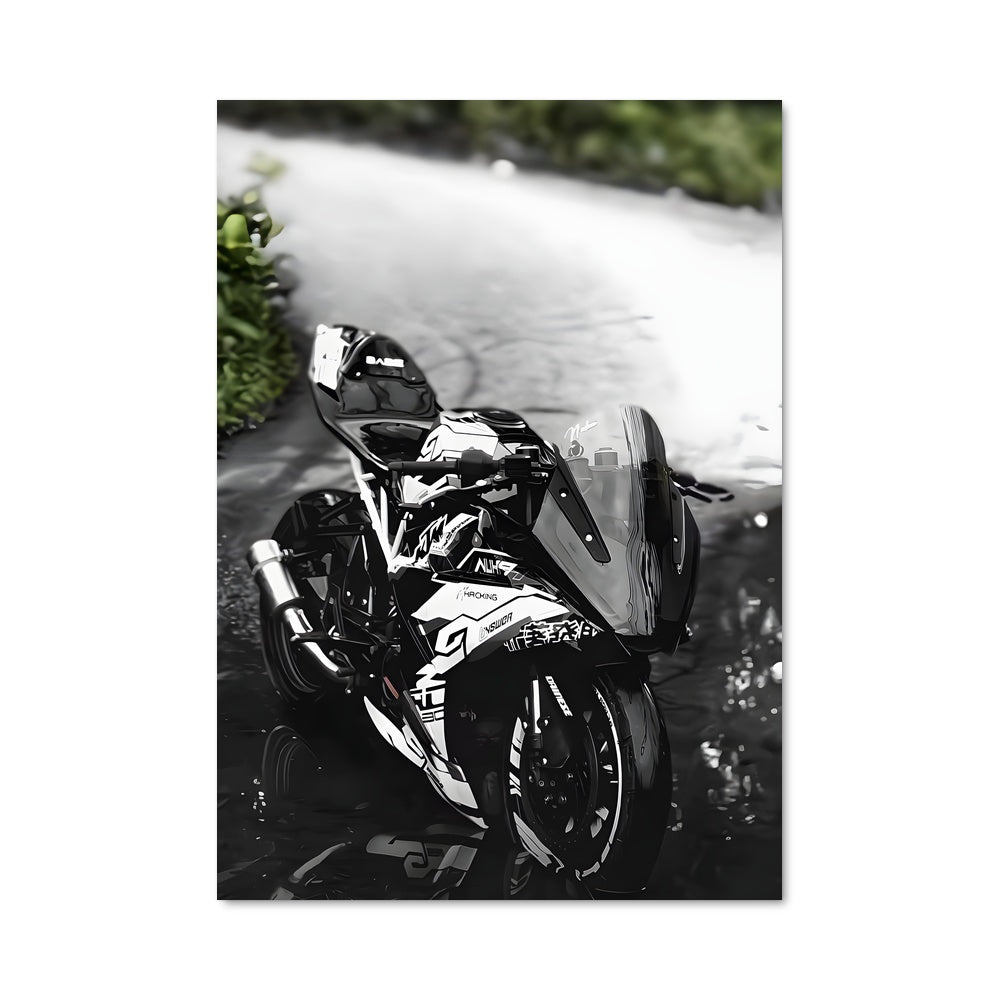 Poster 390 rr-s 81892