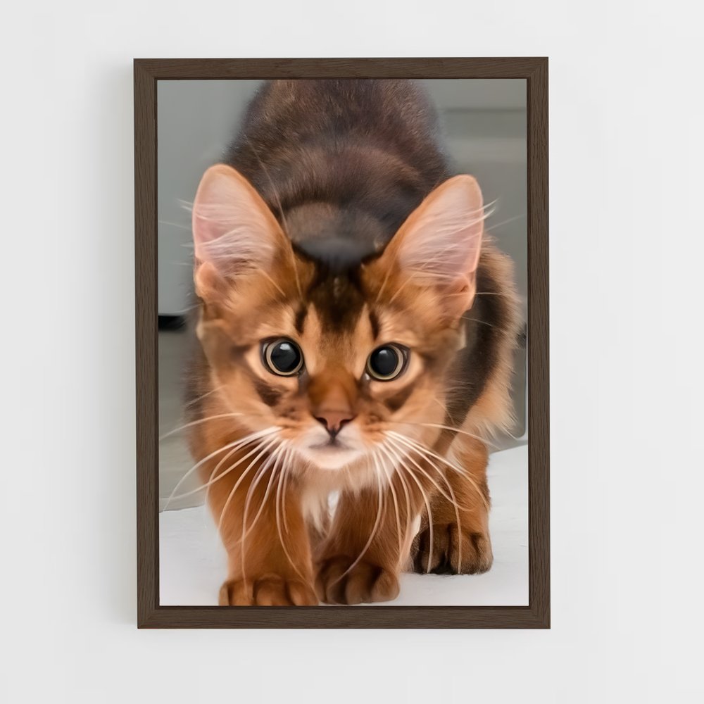 ap-abyssinian-1 cadre Bois foncé