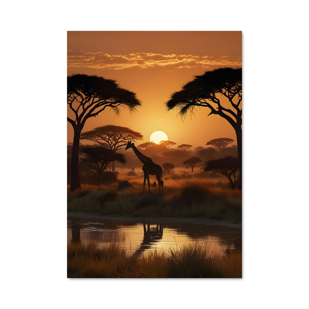 Poster Acacia en Réflexion