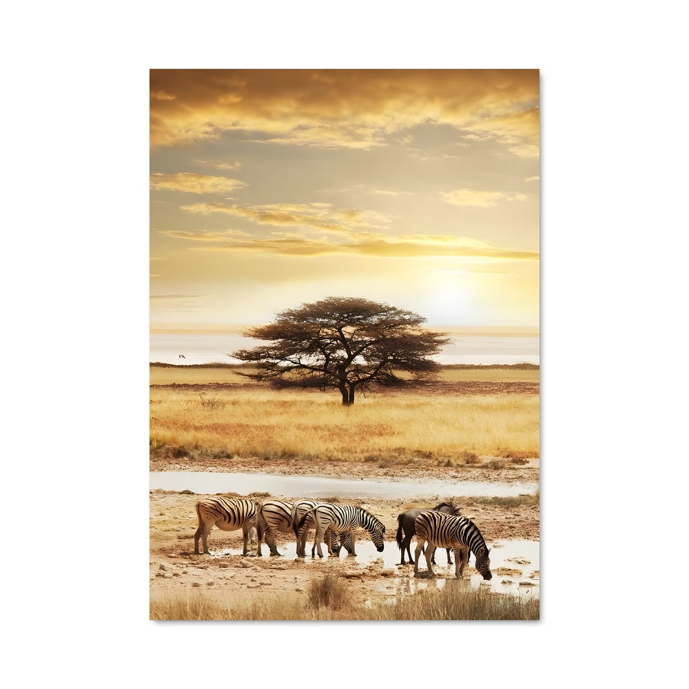 Poster Les Gouttes de la Savane