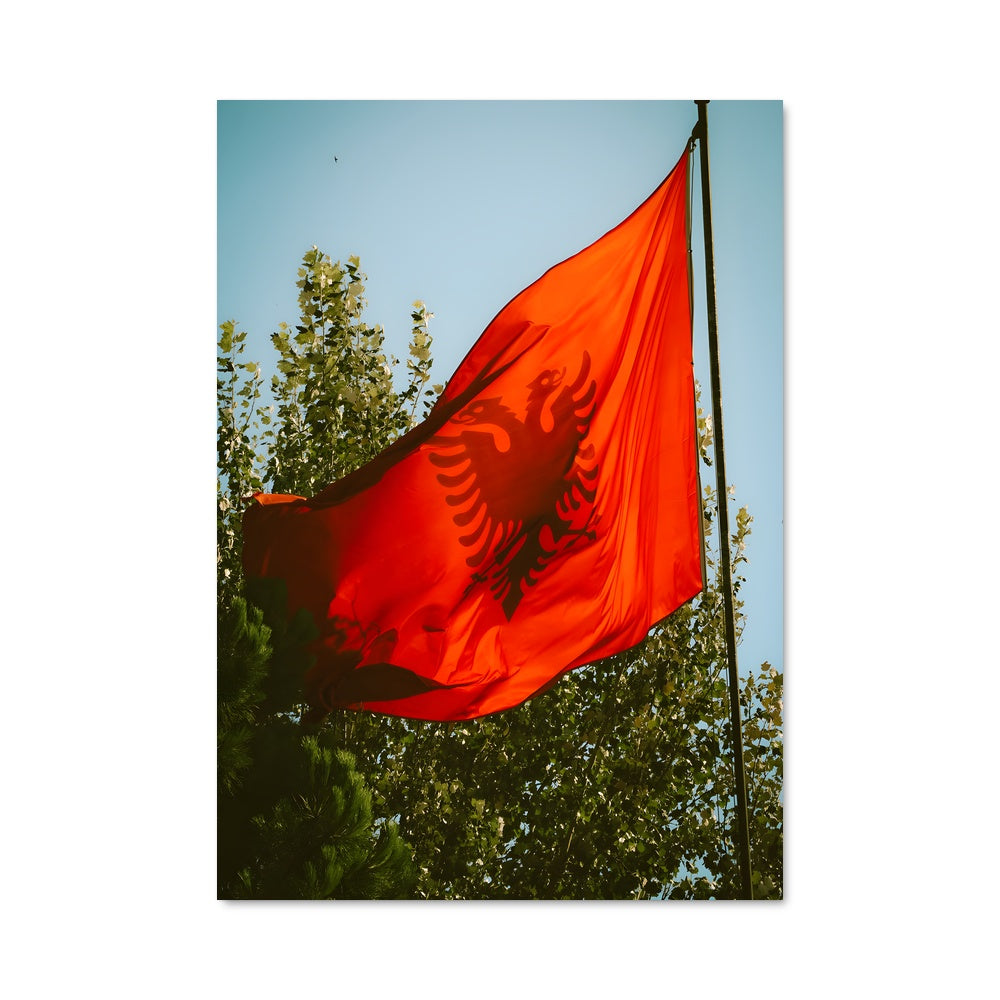 Poster Fierté Albanaise
