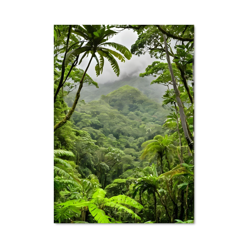Poster Pluie Tropicale