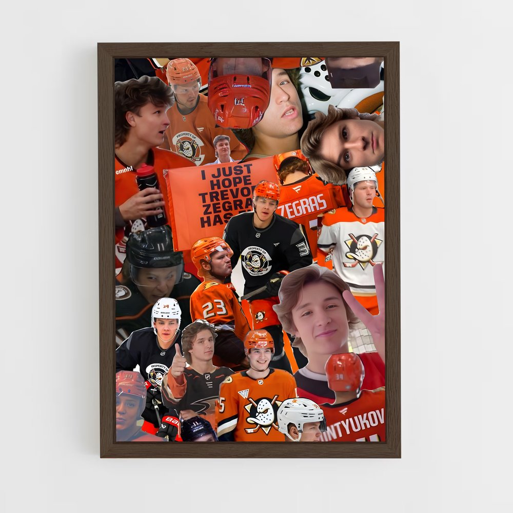 ap-anaheim ducks-11 cadre Bois foncé