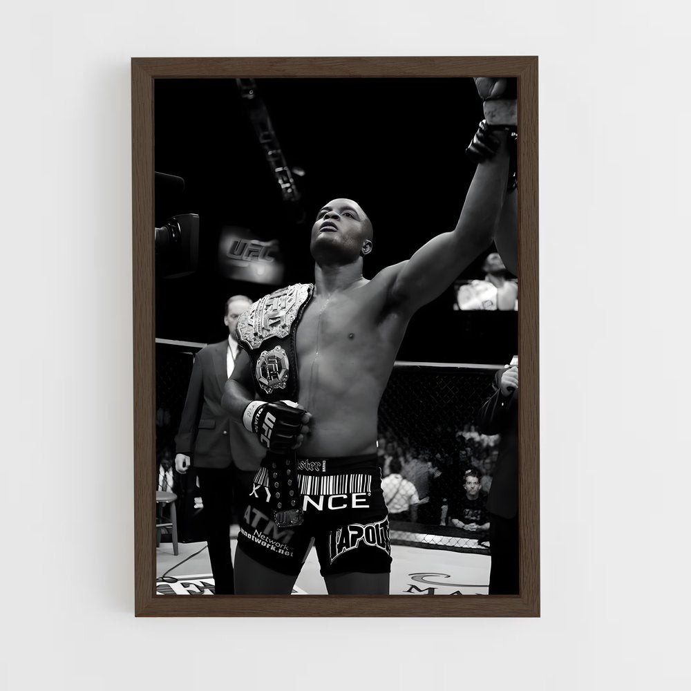 ap-anderson silva-4 cadre Bois foncé