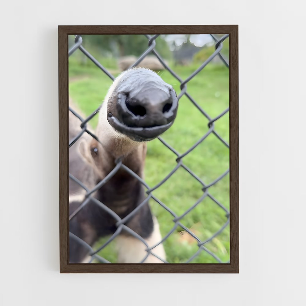ap-anteater-2 cadre Bois foncé