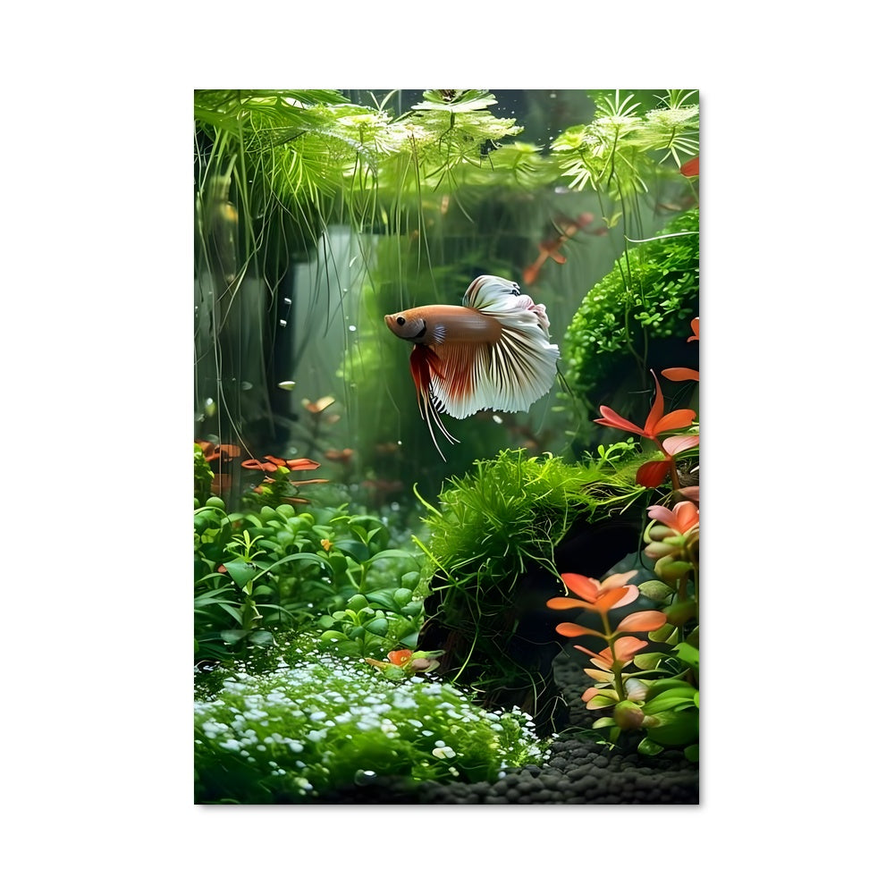 Poster Écosystème Marin