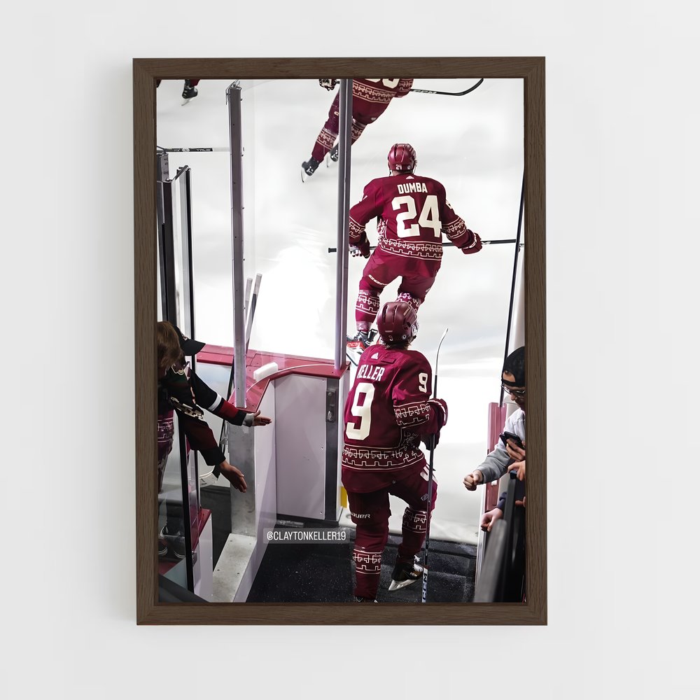 ap-arizona coyotes-4 cadre Bois foncé