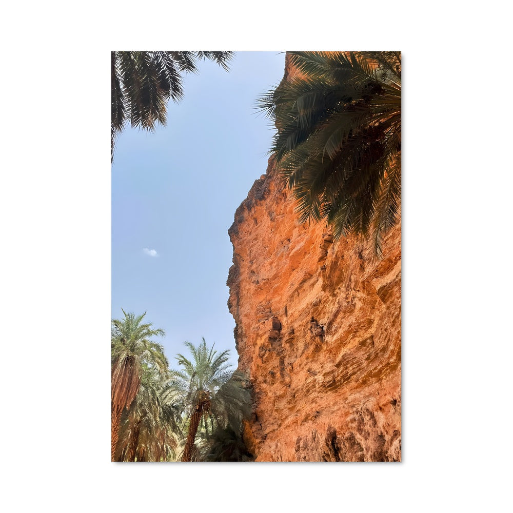 Poster Oasis de Palmiers