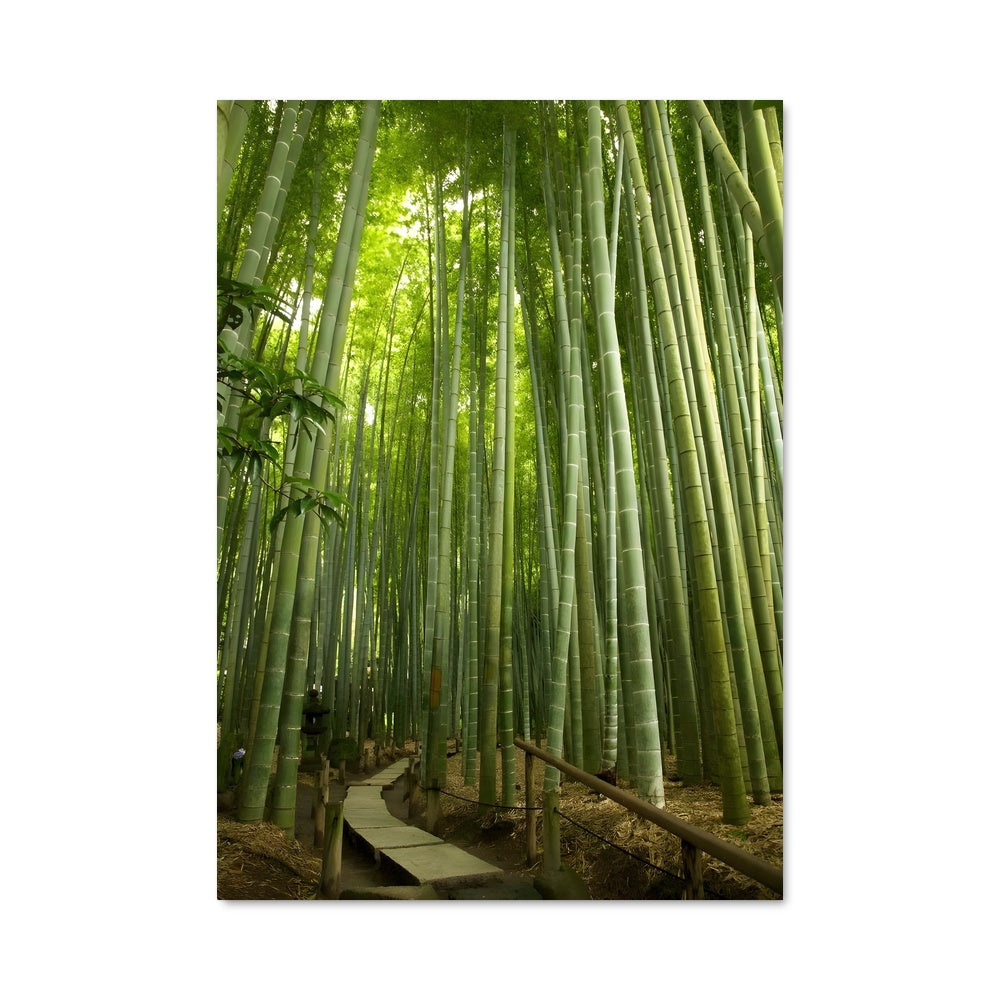 Poster Sentier de Bamboo
