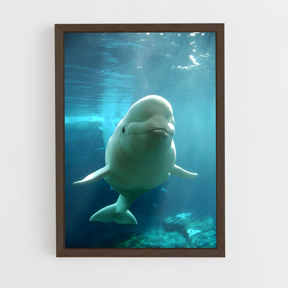 ap-beluga whale-2 cadre Bois foncé
