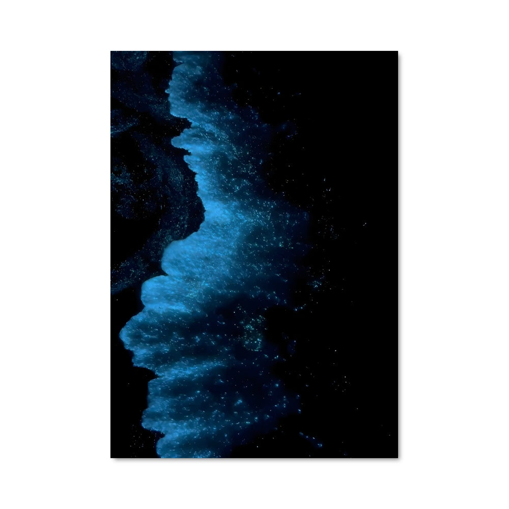 Poster Bioluminescent beaches 88685