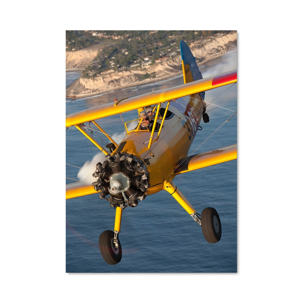 Poster Vol Jaune
