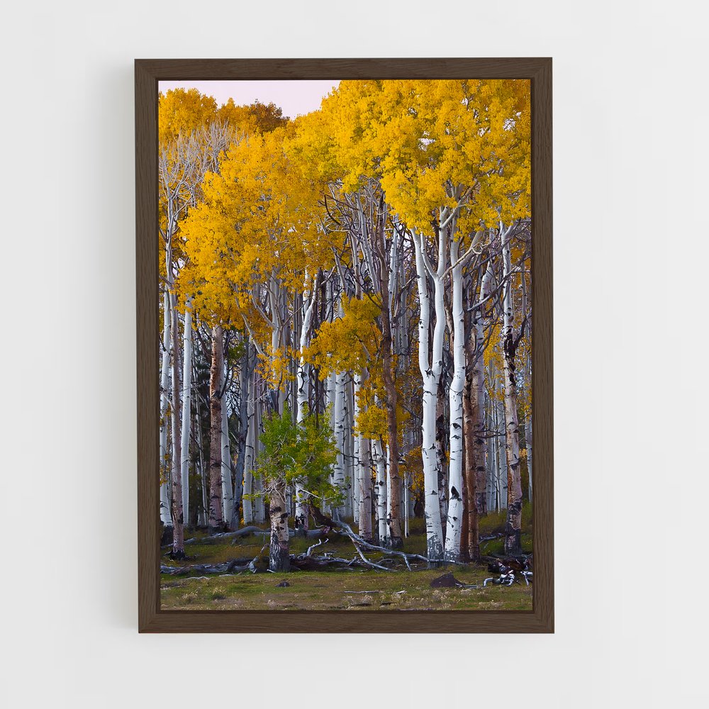 ap-birch-2 cadre Bois foncé