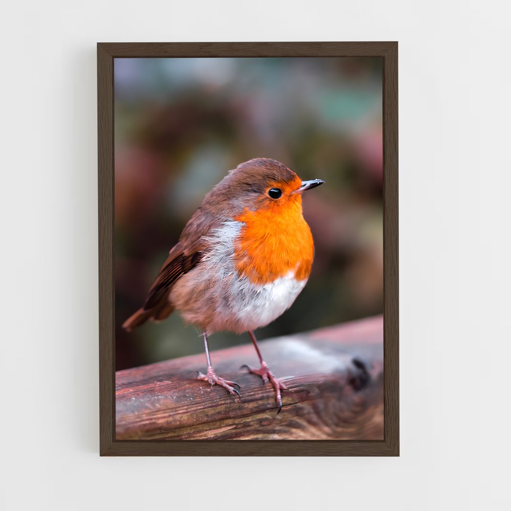 ap-bird-2 cadre Bois foncé