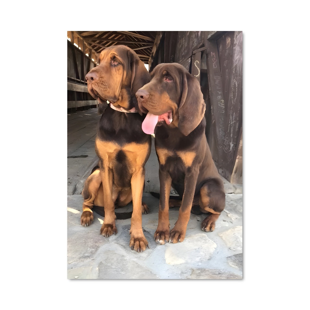 Poster Bloodhound 84916