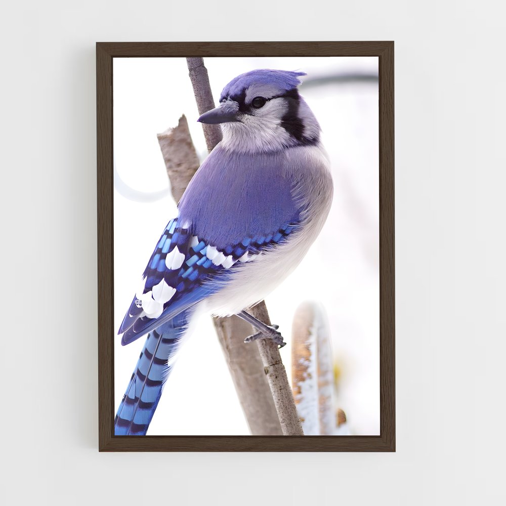 ap-blue jay-4 cadre Bois foncé