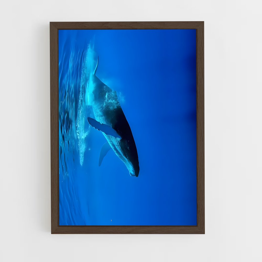 ap-blue whale-2 cadre Bois foncé