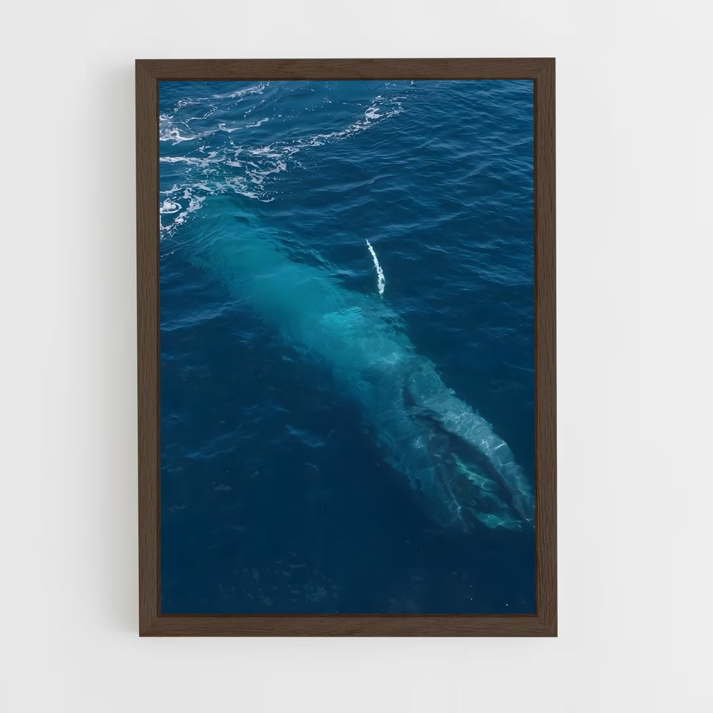 ap-blue whale-3 cadre Bois foncé