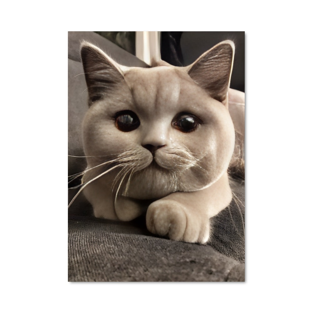 Poster Regard Étoilé