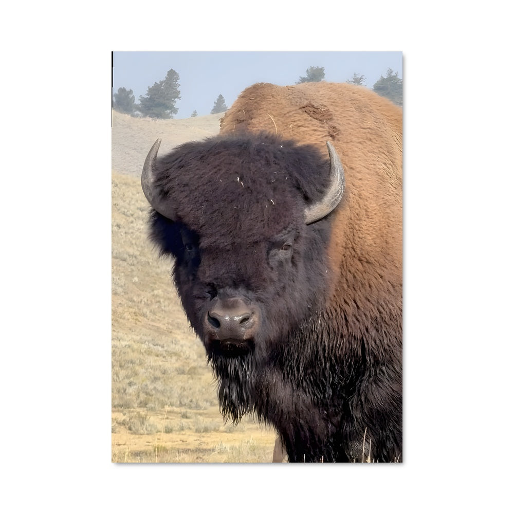 Poster L'Esprit du Prairie