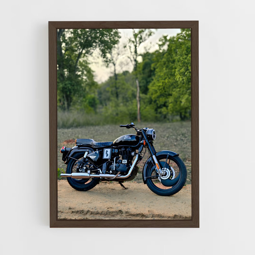 ap-bullet 350-3 cadre Bois foncé