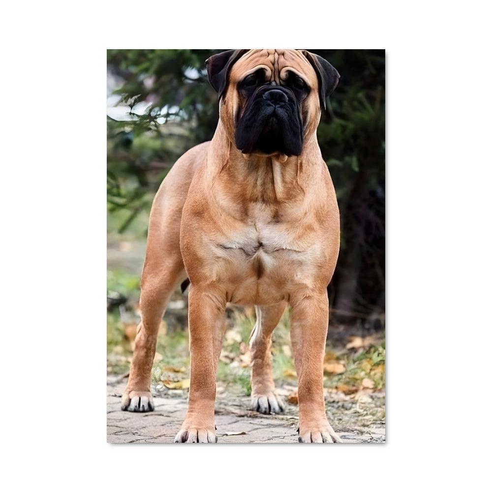 Poster Gardien de la Route