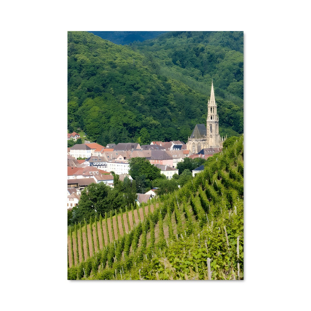 Poster Vignes d'Alsace