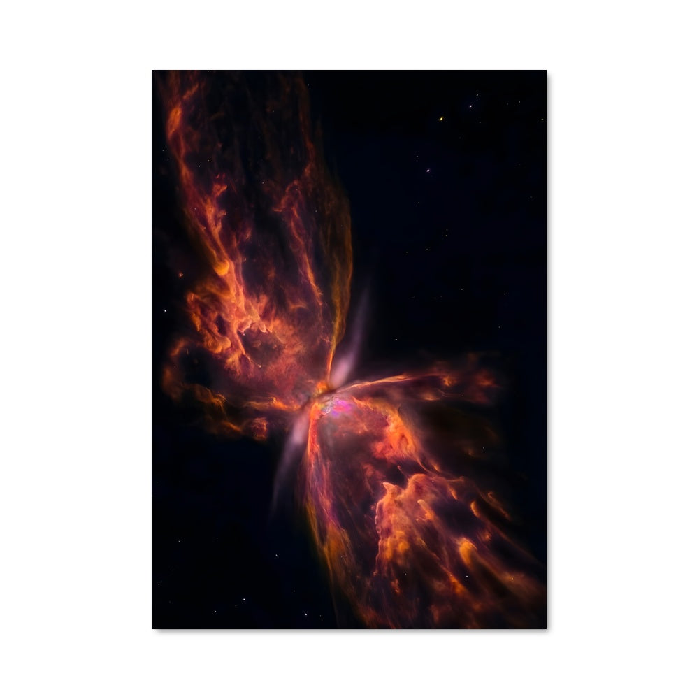 Poster Étoiles en Éveil