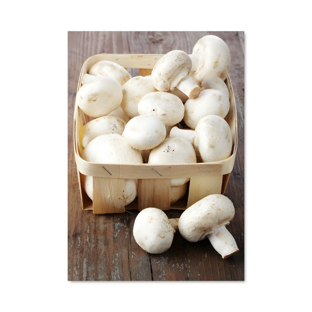 Poster Champignons de Bois