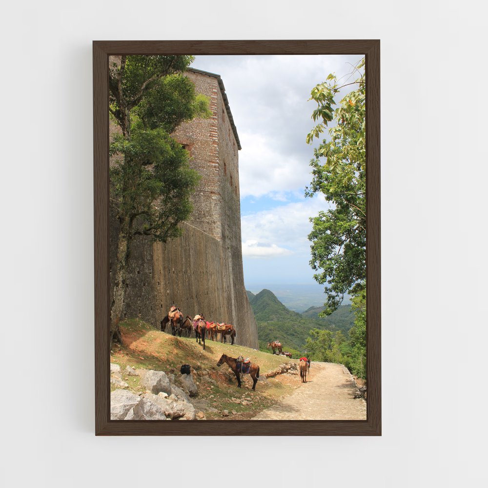 ap-cap haitien-1 cadre Bois foncé
