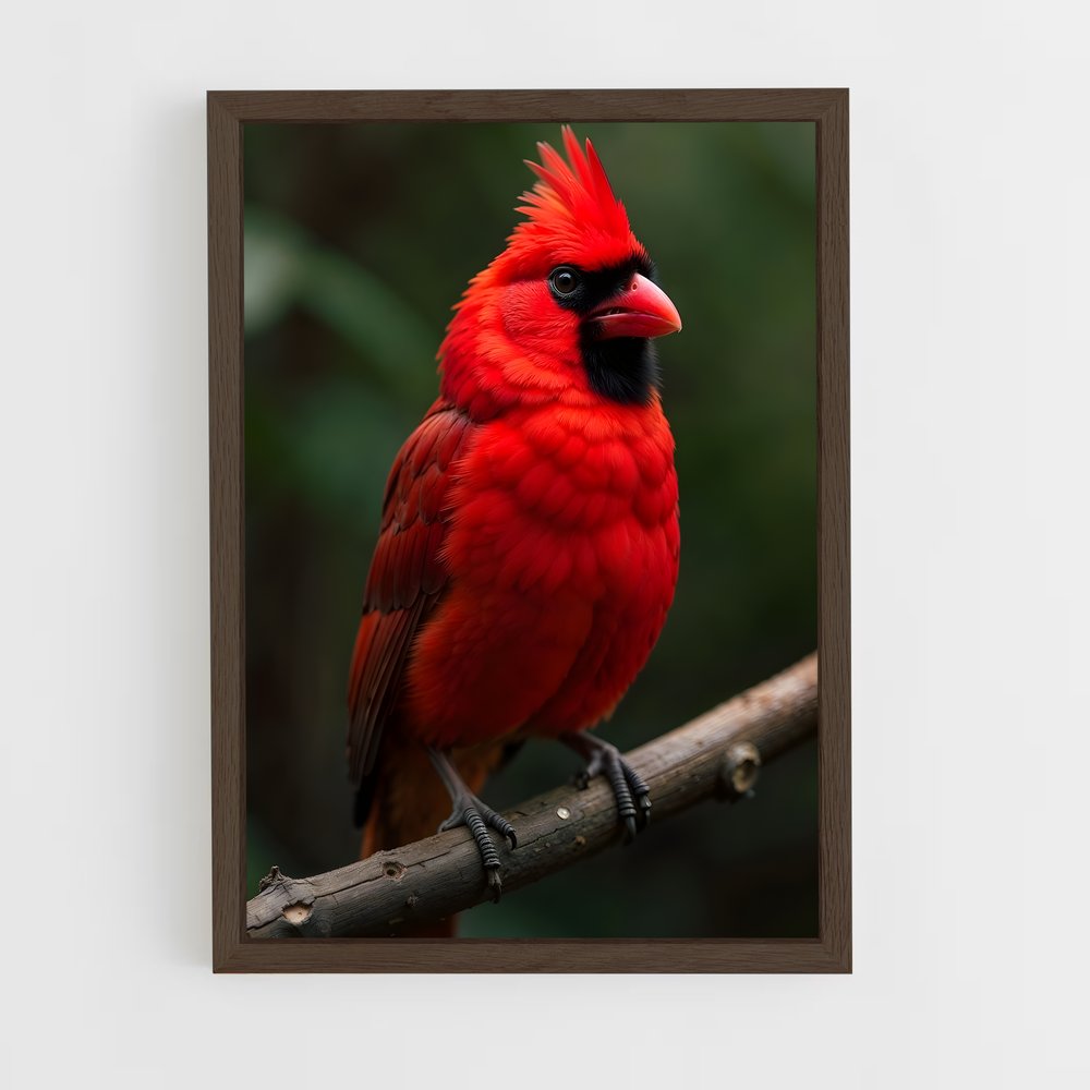ap-cardinal-2 cadre Bois foncé