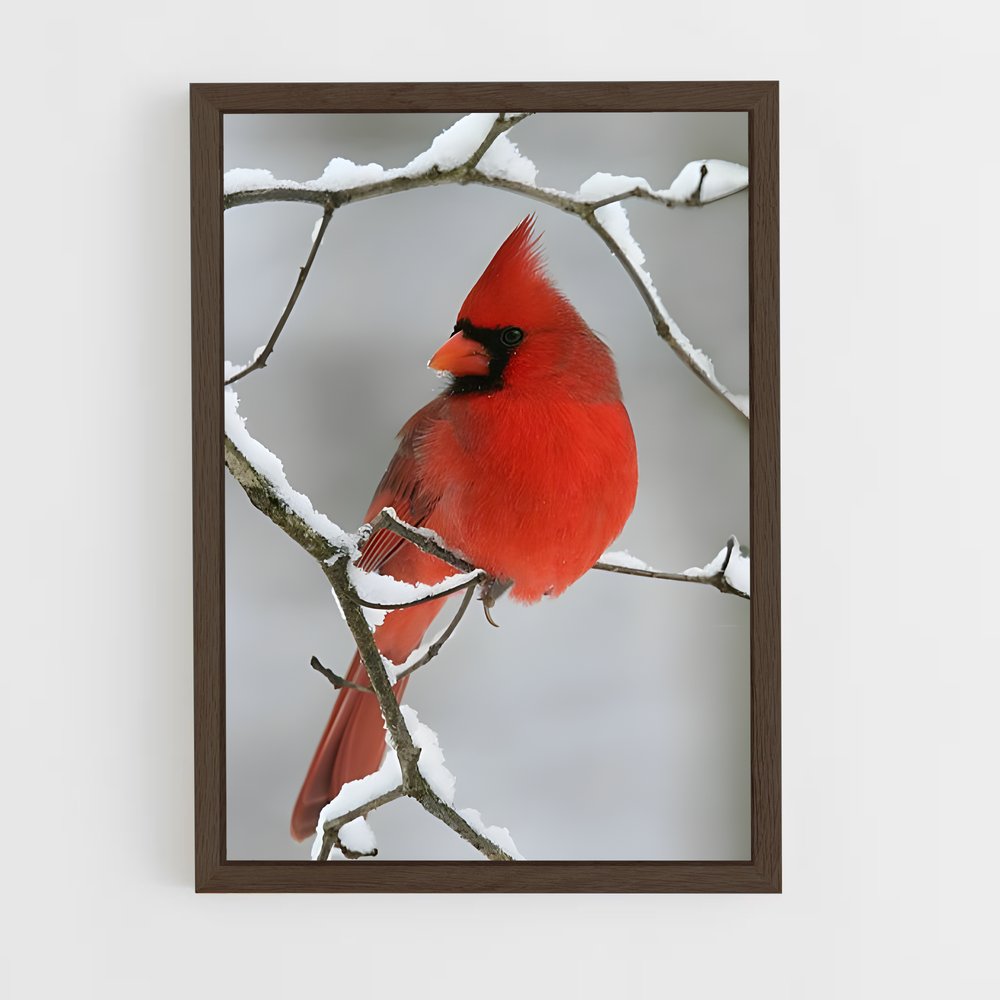 ap-cardinal-8 cadre Bois foncé