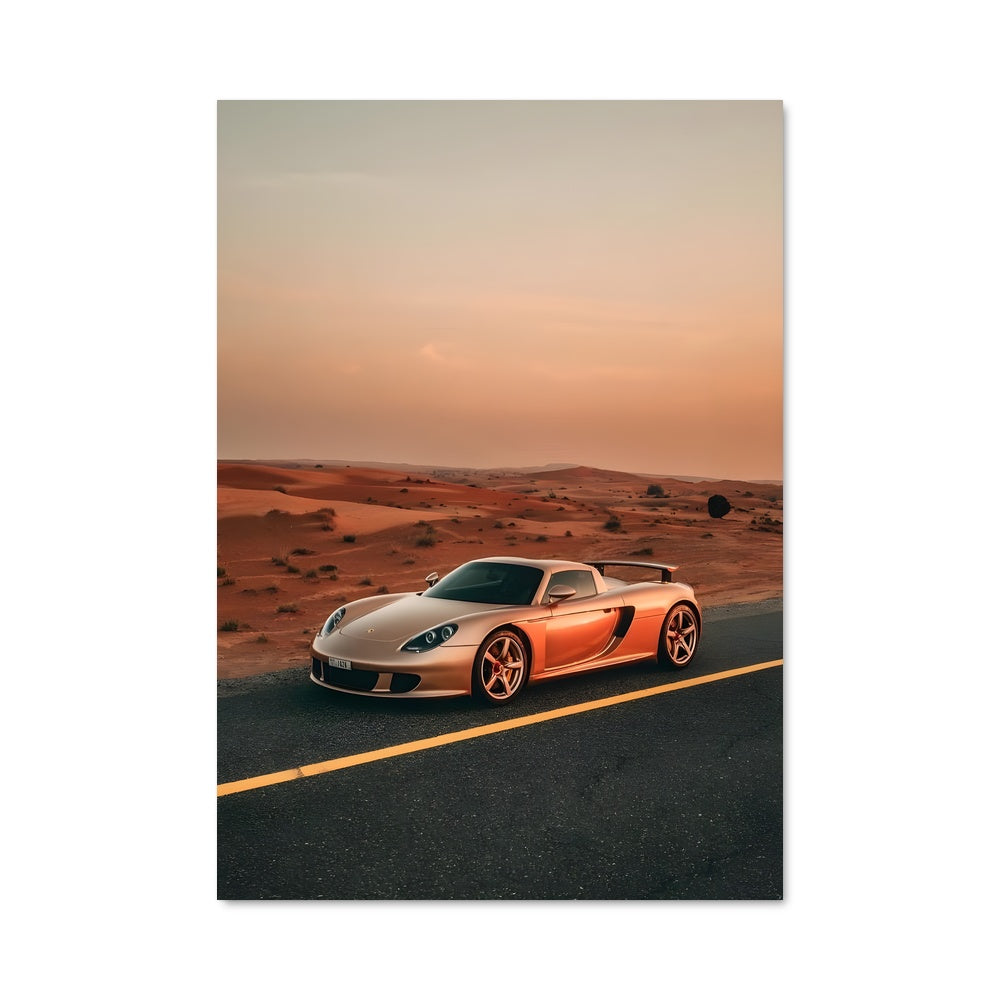 Poster Carrera gt 79373