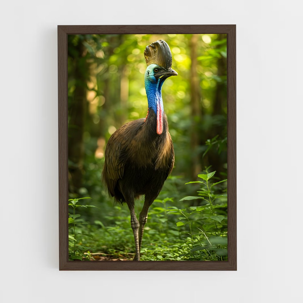 ap-cassowary-9 cadre Bois foncé