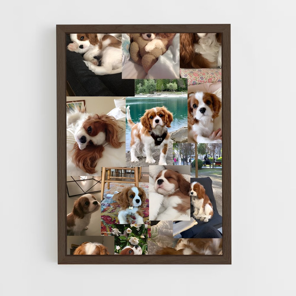 ap-cavalier king charles spaniel-1 cadre Bois foncé