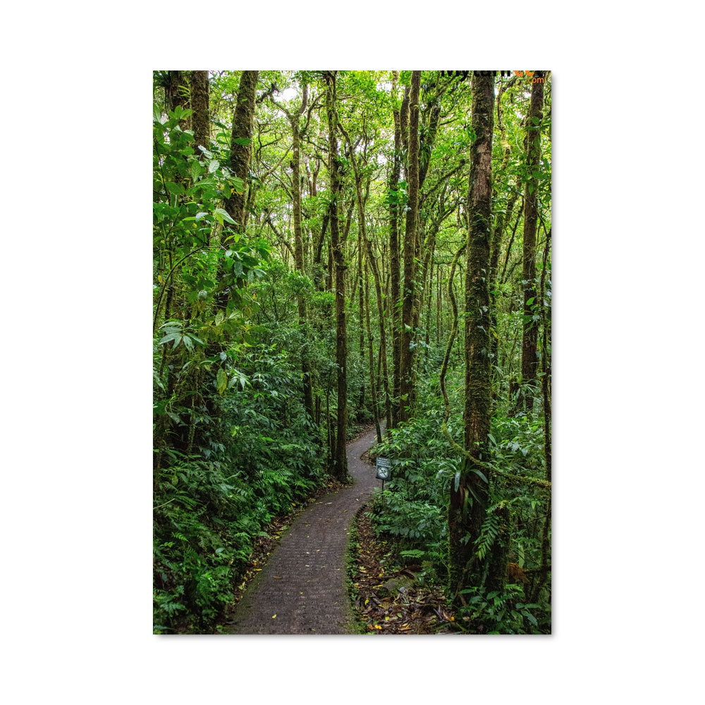 Poster Sentier Mystérieux