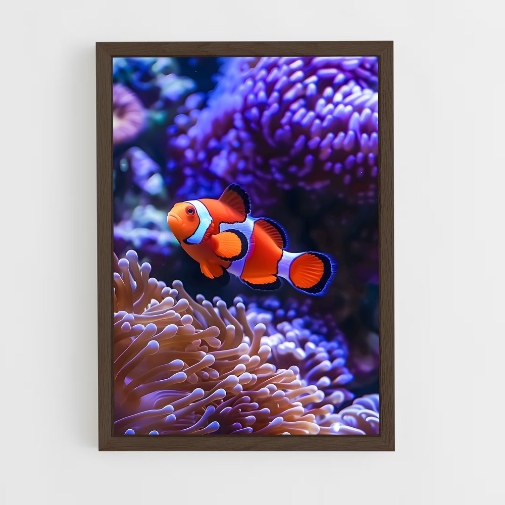 ap-clownfish-7 cadre Bois foncé