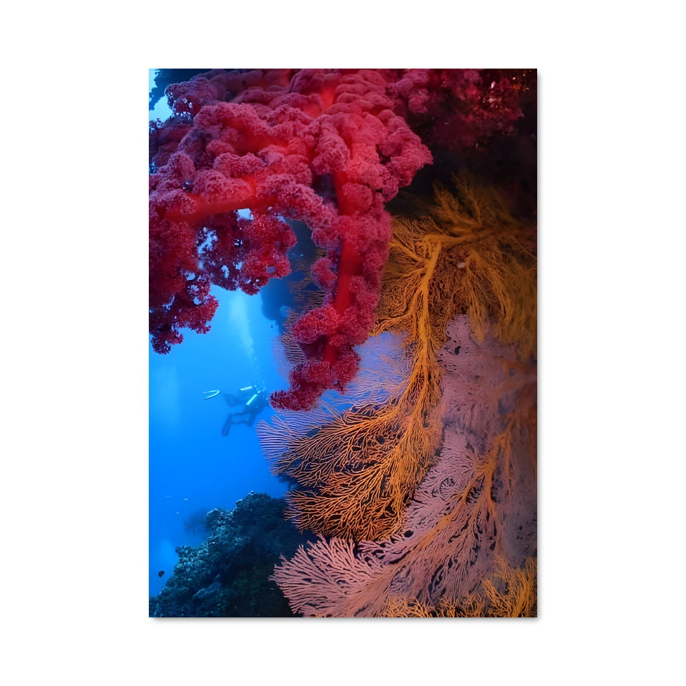 Poster Corail Éblouissant