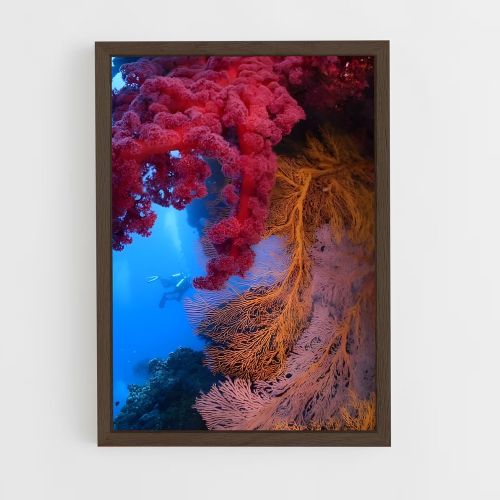 ap-coral reef-7 cadre Bois foncé