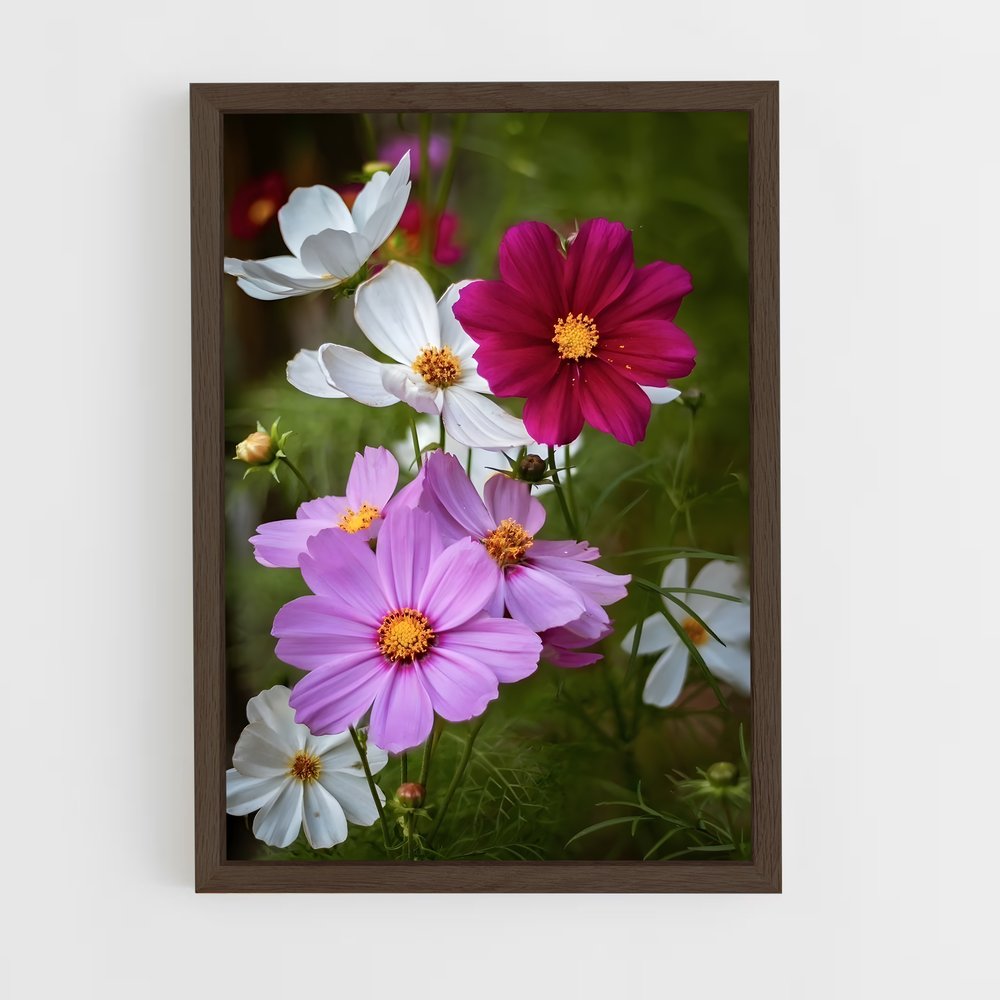 ap-cosmos-6 cadre Bois foncé