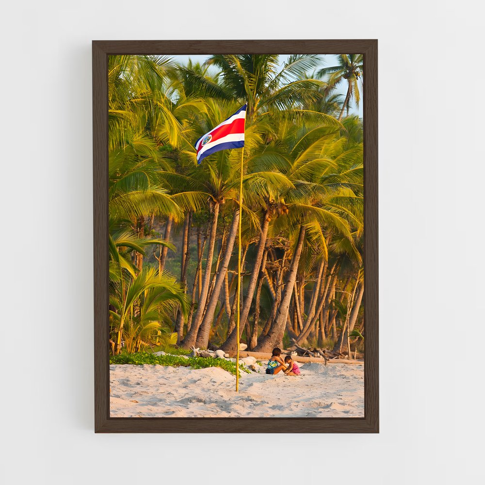 ap-costa rica flag-1 cadre Bois foncé