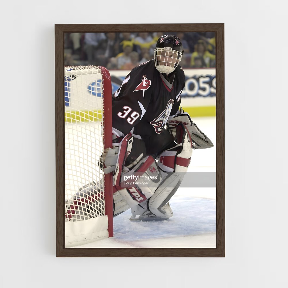 ap-dominik hasek-9 cadre Bois foncé