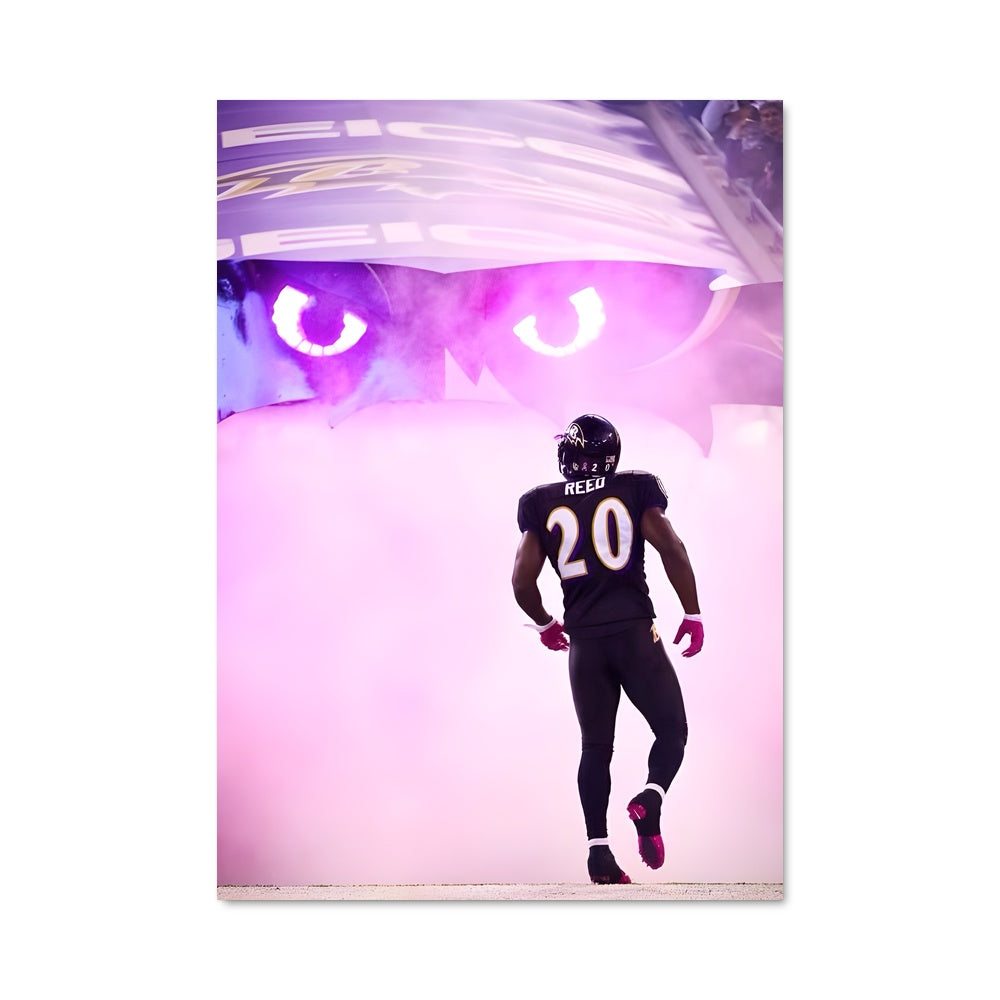 Poster Ed reed 57253