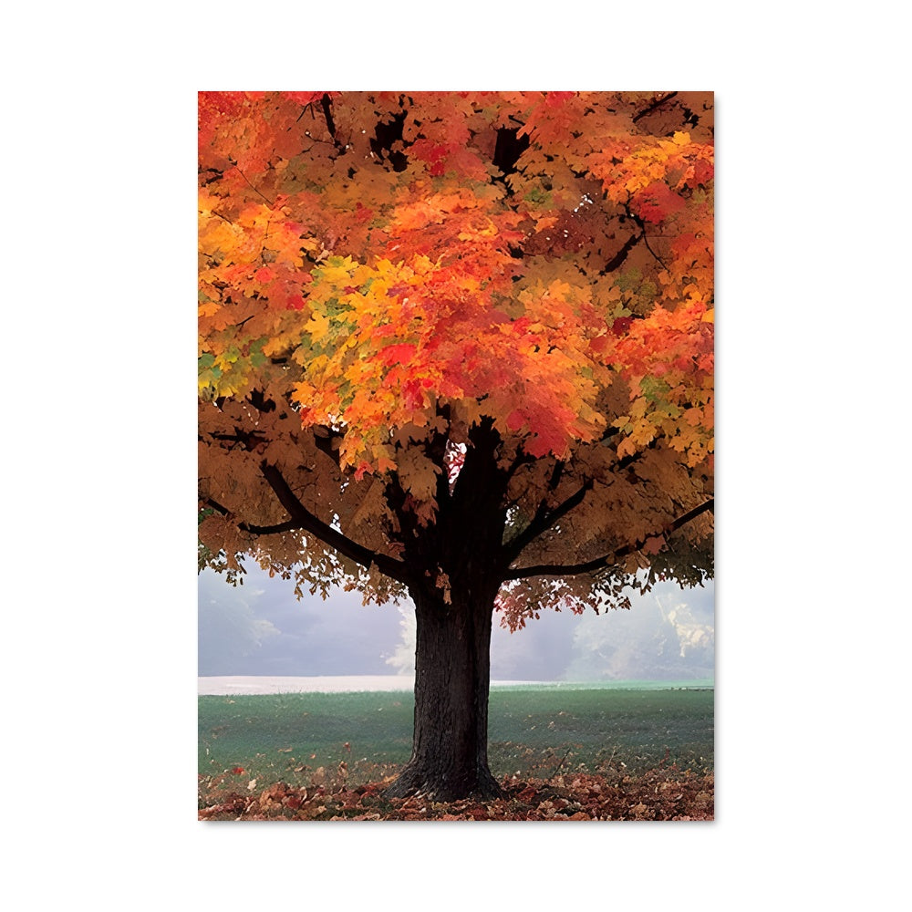 Poster Arbre d'Été Indien