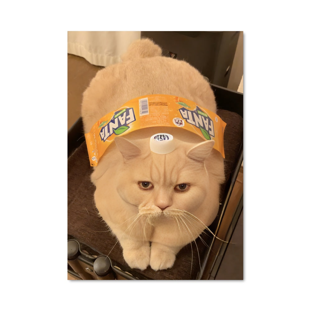 Poster Chapeau de Chat