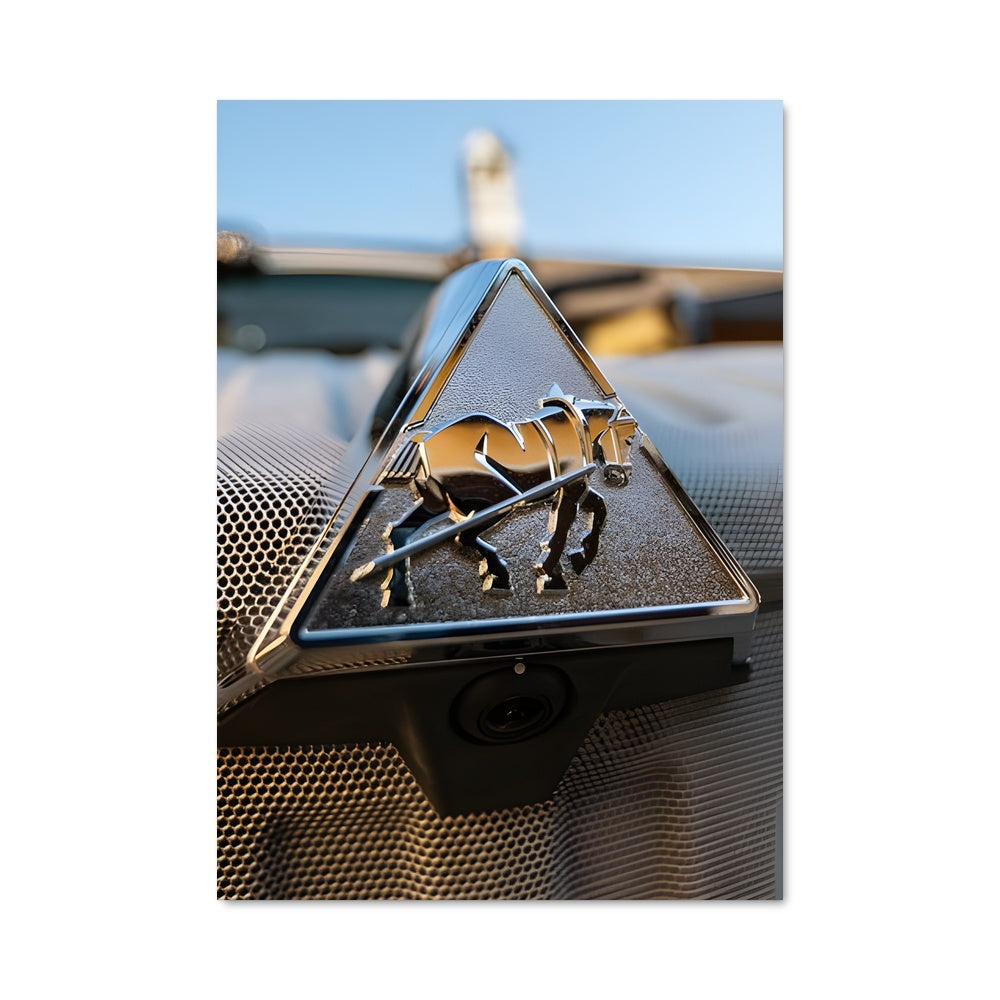 Poster Éclat de Badge