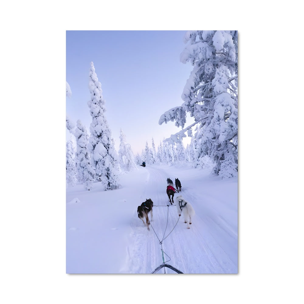 Poster Aventure Boréale