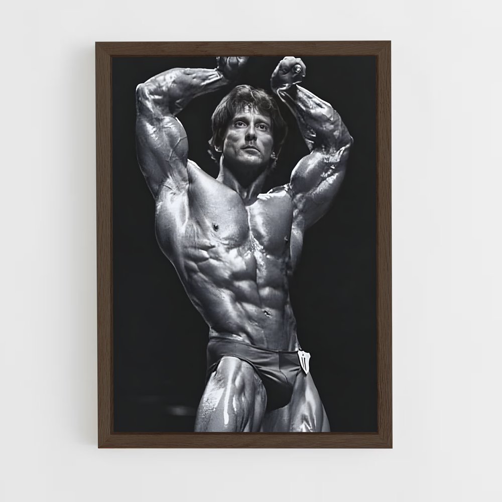 ap-frank zane-3 cadre Bois foncé